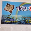 흑산도 | 영산도 홍어 택배 후기 흑산도홍어 진짜 맛있어서 놀람