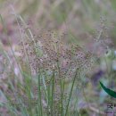 제주하늘지기 이미지