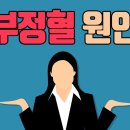 생리주기와 관계없이 나오는 부정혈원인 이미지