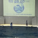 오션 아레나 이미지