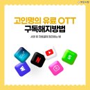 고인 명의 유료 OTT 구독 해지 방법, 사망 후 자동결제 정리하는 법 이미지