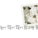 루바토 이미지