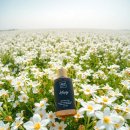 상권농장 | 별꽃농장, 농촌 치유 프로그램으로 스트레스 해소하기 위한 선택