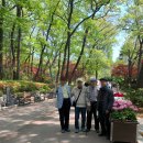 여의도 동물병원 은하점 | [월간세레나] 2025 Vol.5 건물 속에 피어난 장미, 보난자커피, 라떼맛집, 청와대나들이, 여의도공원