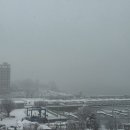 Joe’s 헤어 이미지