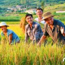 은천농장1 이미지