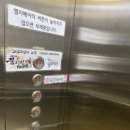 포인무용학원 네이버블로그