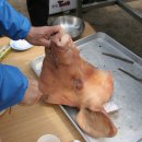 팔현1리 이미지