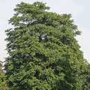 소백한의원 이미지