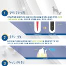 동물치과병원메이 이미지