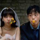 덩쿨 | 웨딩촬영 - 테오그라피 | 야외 덩쿨 배경 씬 | 레퍼런스 중요성 | 웨딩촬영 캐주얼 룩