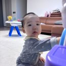까까드숑 네이버블로그