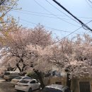 (주)흰여울 네이버블로그