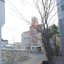 서광자연유치원 이미지