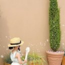 키즈풀빌라 소풍 이미지