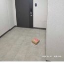 보은약국 | 못 다 핀 책은 끝까지 읽지를 않아도 결국 끝이 날텐데