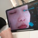 플래뉴의원 이미지