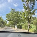 길식농장 이미지