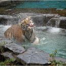 동물원 화장실 이미지