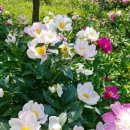 천아트교실 이미지