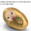 지에스25울산빅크라운점 이미지