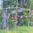 동물원 | 하와이 오아후 여행 코스 추천, 호놀룰루 동물원 후기