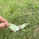 반디불이 민박 이미지