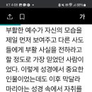 스타버드