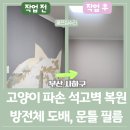 가락2,3단지 | 부산 고양이 석고벽 복원 방전체 도배 문틀 필름 작업