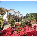 어울림펜션 이미지