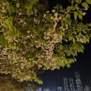네일아르스 | 결혼준비_ 시기별 준비과정 및 팁 준비 기간 정리 과정 업체별 추천 선정 리스트