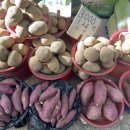 대평상회 이미지