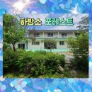 포레스트펜션민박 이미지
