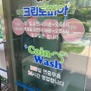 크린토피아코인워시방화