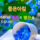 곡선(曲線)의 미학(美學) 이미지