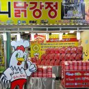 A131 | 12월에 즐기고 온 연곡 솔향기 캠핑장