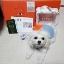 아이디펫 동물병원 이미지