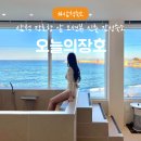 강원도 삼척 장호항 오션뷰 신축 자쿠지 감성 숙소 &#39;오늘의장호&#39;