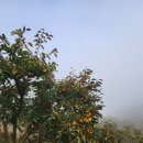 밤재농장 이미지