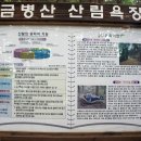 원창1리 | 춘천 금병산 산행후기 (6.10)