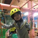 키튼아일랜드어린이집 이미지