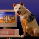 세진컴퓨터 이미지