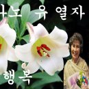 신아리랑 - 청주시 흥덕구 비하로 11 | 신아리랑