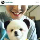 개귀여워 이미지