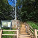 대전둘레산길(11구간) | 나를 살리는 시간/대전둘레산길 11구간 구봉산길/빠지면 섭한 라떼