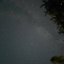 좋은날n | 영월 더좋은날n캠핑 하계 대가족 캠핑 후기 (7/25~7/27)
