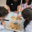 대천리초등학교 이미지