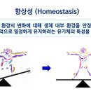 탄탄짐 이미지