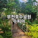열린유치원 | 부천호수식물원 실내 아이랑 가볼만한 곳 수피아(예약 카페 주차)