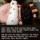 포항에서 백해삼발견되다! 이미지